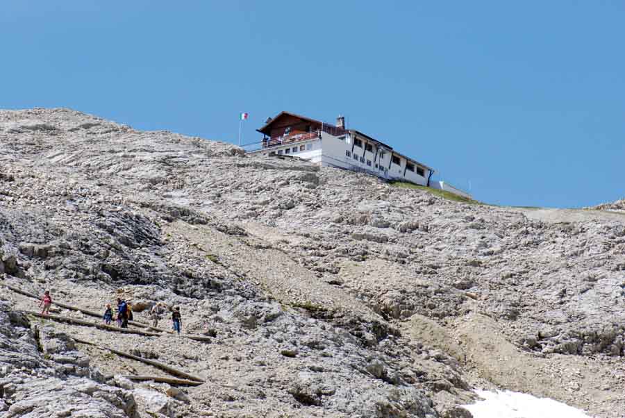 Fiore Lagazuoi da id.